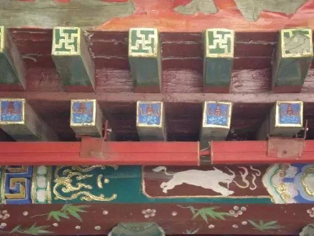 蝙蝠是怎么来的有什么寓意,长相怪异的蝙蝠