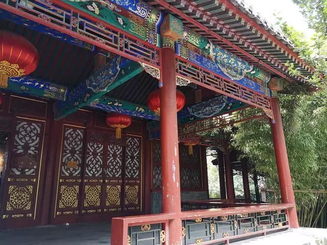 蝙蝠是怎么来的有什么寓意,长相怪异的蝙蝠