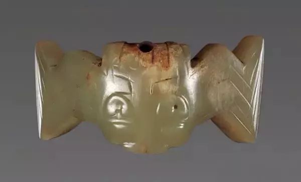 蝙蝠是怎么来的有什么寓意,长相怪异的蝙蝠