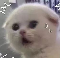 双飞人药水假货跟真货的区别,网上买的双飞人真假