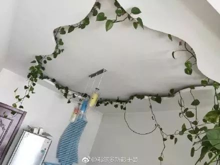 太刺激了!花了20w装修新房,结果被爸妈装成了公共厕所?