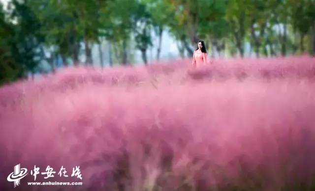 阜阳好不好呀,阜阳市好不好啊