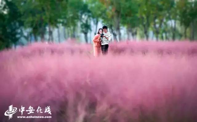 阜阳好不好呀,阜阳市好不好啊