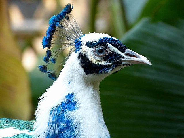 1-2月十大必去旅行地,8个适合一个人去旅行的旅游胜地