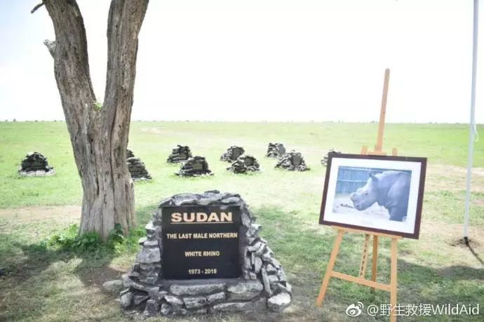 瑙ｇ閲庣敓鍔ㄧ墿,閲庣敓鍔ㄧ墿瑙ｇ