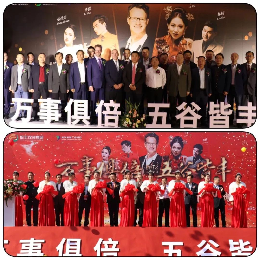 鍊嶄赴澶嶅悎鑲ユ枡,鍊嶄赴鐩愭箹鍐滀笟绉戞妧鑲′唤鏈夐檺鍏徃