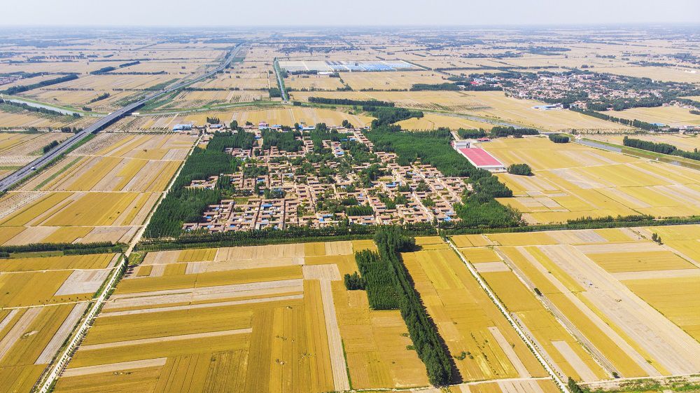 聊城市最美的村,山东聊城著名特色小镇有哪些