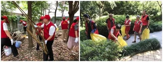 攻略来了带你一步走入新年,攻略来了游戏