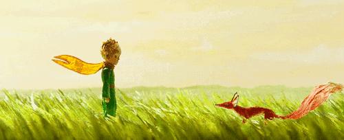 儿童睡前故事大卫不可以完整绘本,大卫不可以4-6岁睡前故事100个