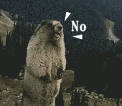 别去香港买鞋了!一条街都是假货,不少海南人中招!