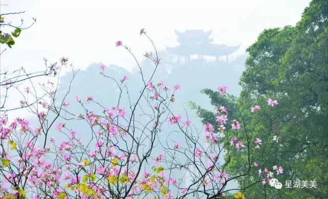 肇庆市是岭南风水宝地,肇庆福满园休闲中心