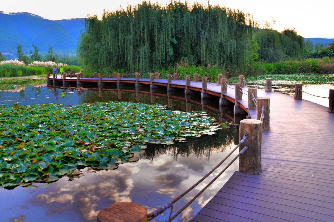 西马倒计时6天,2023西马赛事几号结束