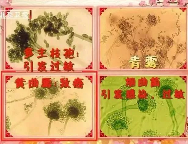 这五种致癌物可能就在你的家里,一等致癌物都藏在家里