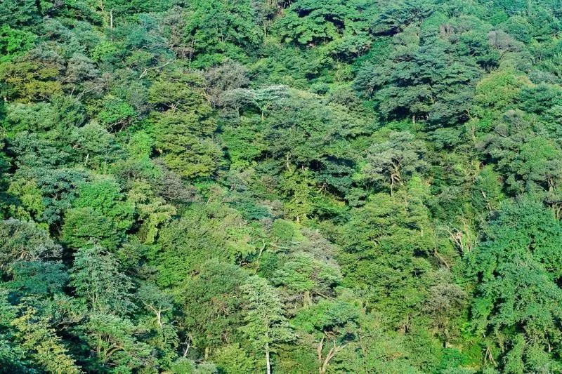 跟我走吧带你去旅行合拍,跟我走吧我带你去旅游完整版