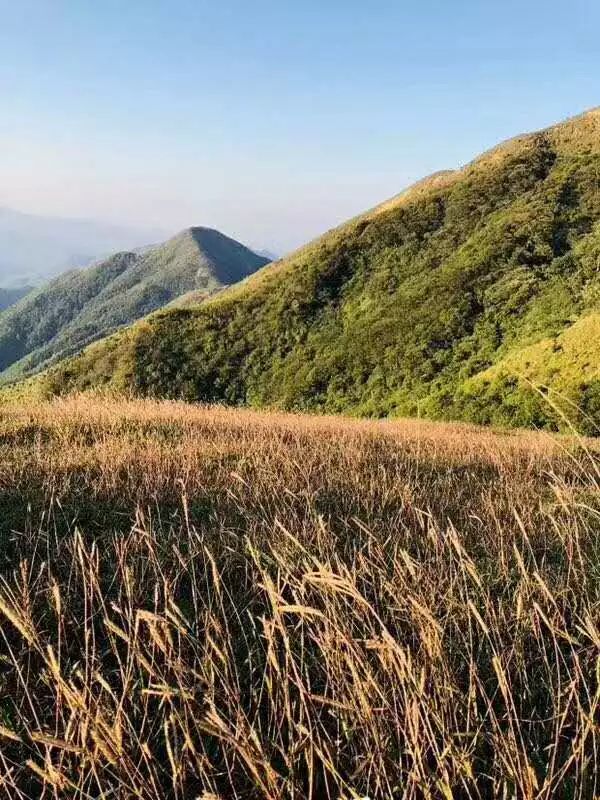 跟我走吧带你去旅行合拍,跟我走吧我带你去旅游完整版