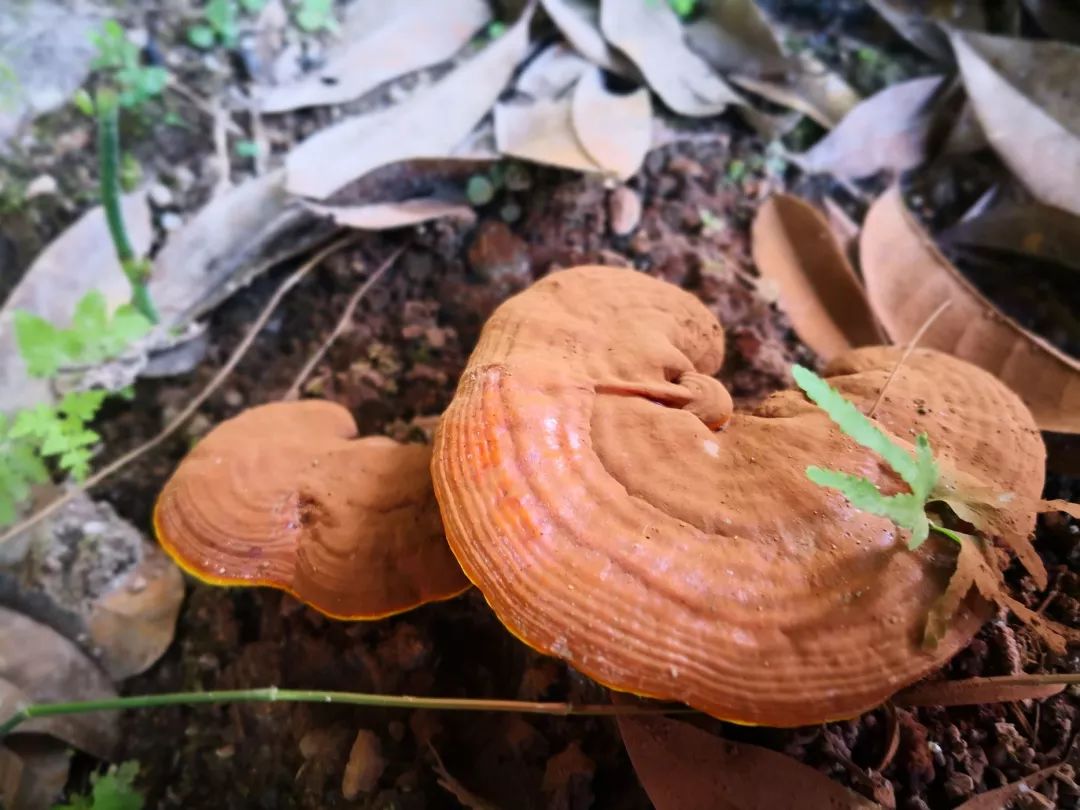 跟我走吧带你去旅行合拍,跟我走吧我带你去旅游完整版