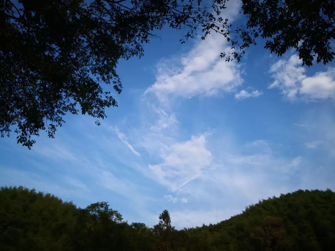 跟我走吧带你去旅行合拍,跟我走吧我带你去旅游完整版