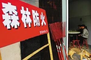 温州市救灾感人事迹,温州见义勇为完整视频