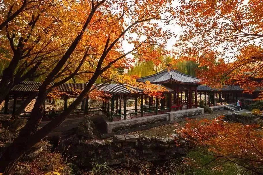 1月机票白菜价！从洛阳出发，最低只要170元！比坐车还便宜！