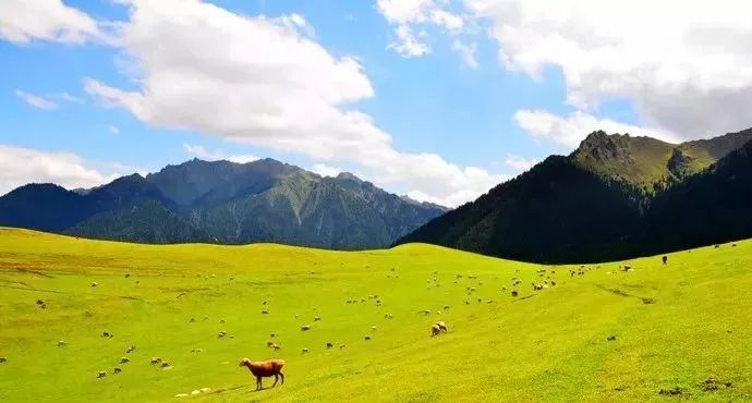 1月机票白菜价！从洛阳出发，最低只要170元！比坐车还便宜！