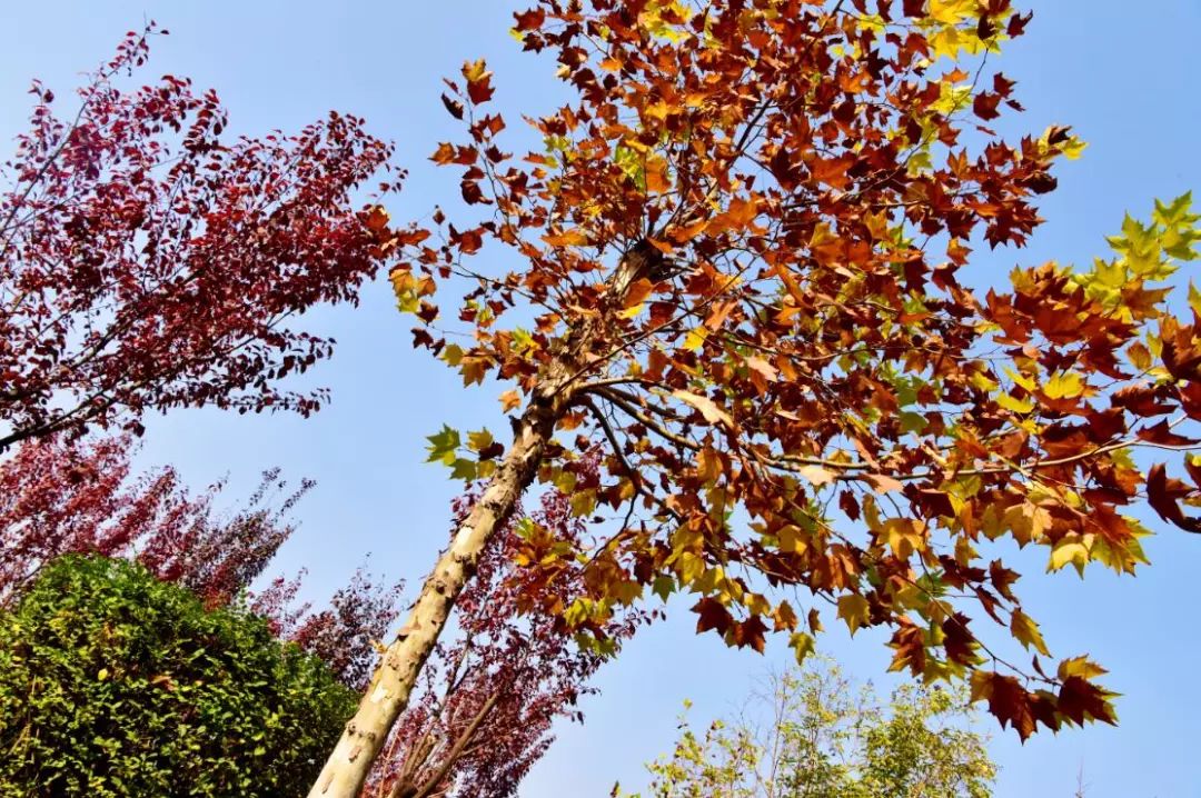 西安航天基地2021年工作重点,西安航天基地创新发展