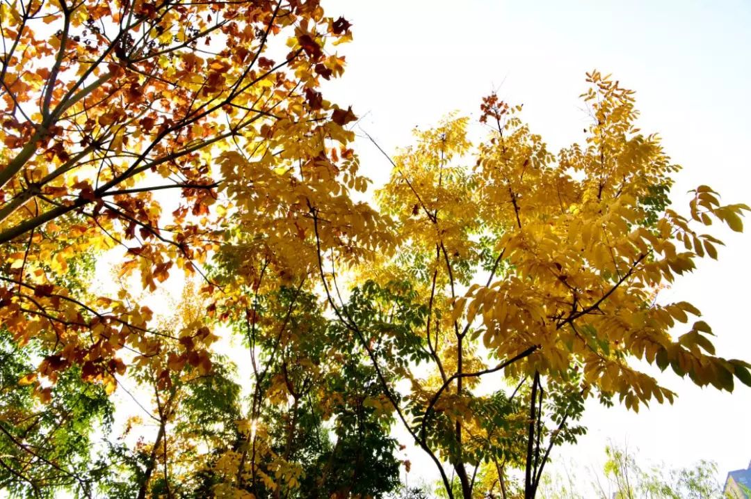 西安航天基地2021年工作重点,西安航天基地创新发展