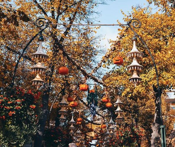 鐜板湪杩樿兘涔板埌鏂扮殑2080,鐜板湪杩樿兘涔板埌鍘讳縿缃楁柉鐨勬満绁ㄥ悧