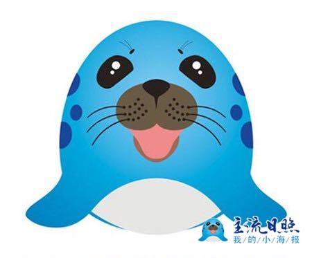 日照小海豹新消息,小海豹早知道