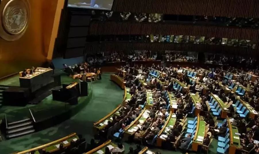 它被称“五谷之王”，泡水喝，清脂肪降三高，养生抗衰老！