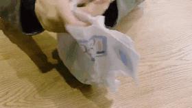 大王天使纸尿裤试用装9.9,大王天使纸尿裤旗舰店