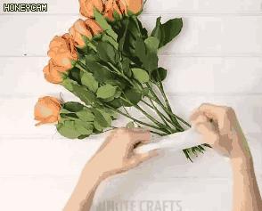 马桶堵了没有马桶栓保鲜膜,马桶堵了封保鲜膜