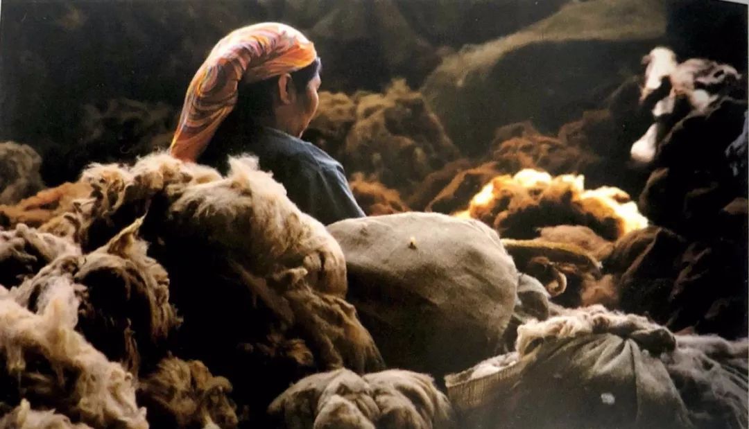 羊驼毛和羊绒哪个高档,一线品牌羊驼毛