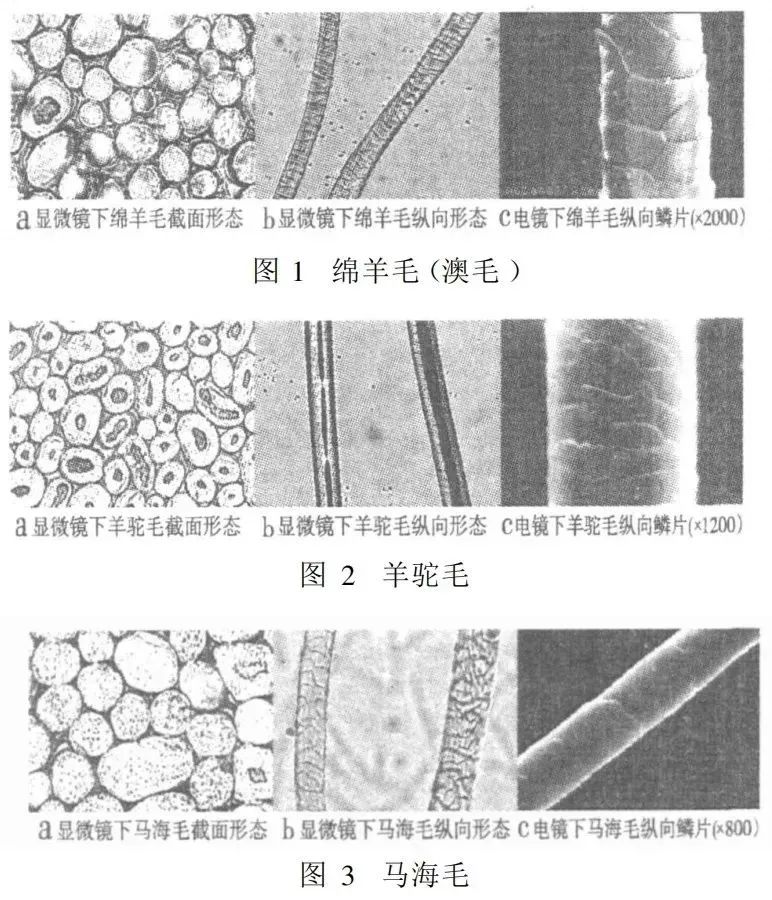 羊驼毛和羊绒哪个高档,一线品牌羊驼毛