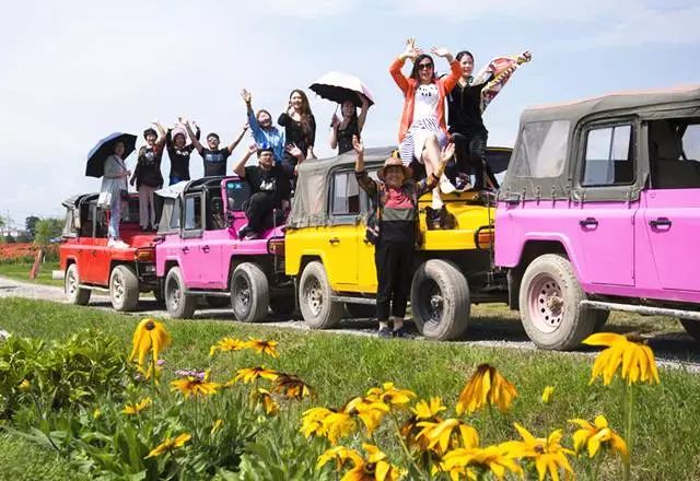 大理云海花海,大理花海漫步