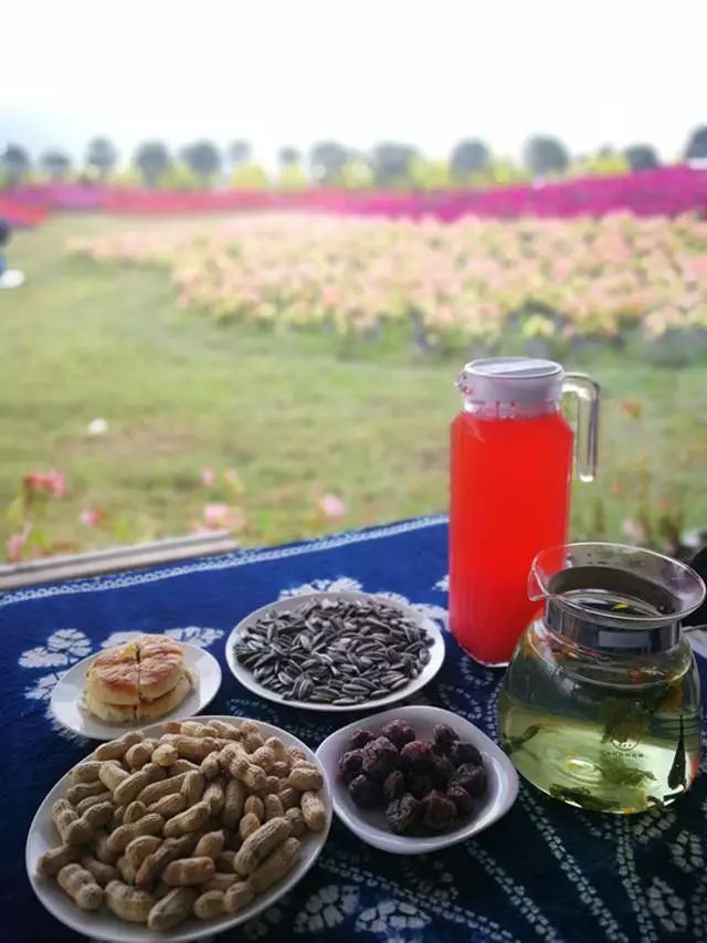 大理云海花海,大理花海漫步