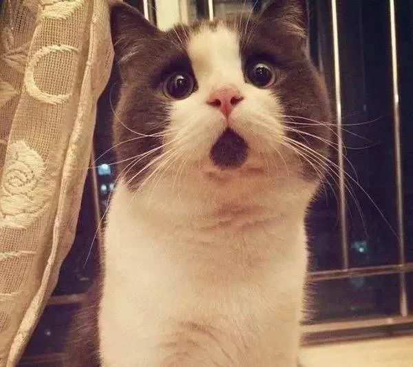 案例｜新购实惠二手车竟是卖主租来的？松江一男子错将*子骗**当恩人