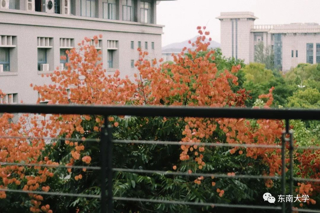 东*法大**学东大高度!用实力说话,勇攀新高峰!