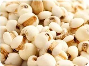 了解一下这些养生方法吧,当代年轻人还在佛系养生