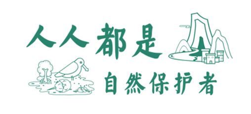 美境自然：品牌形象下的99众筹宣传品｜2018劲草99众筹经验分享（一）