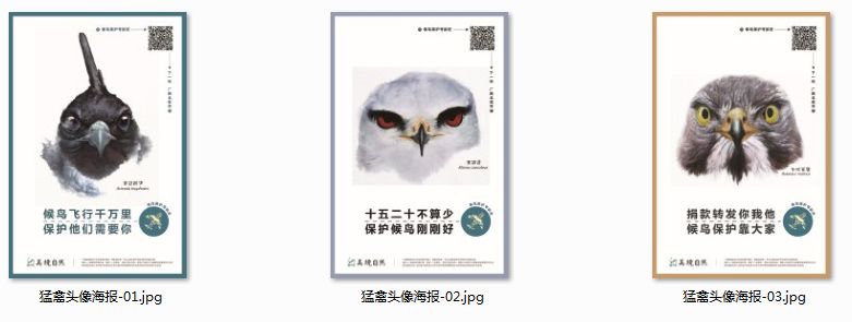美境自然：品牌形象下的99众筹宣传品｜2018劲草99众筹经验分享（一）