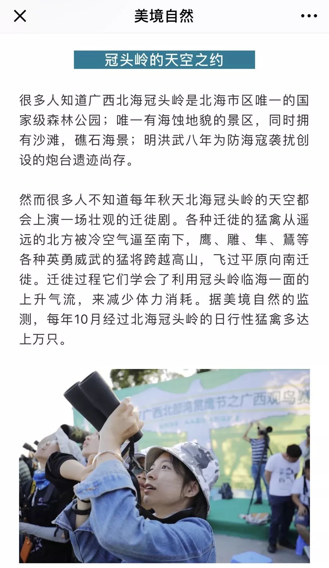 美境自然：品牌形象下的99众筹宣传品｜2018劲草99众筹经验分享（一）