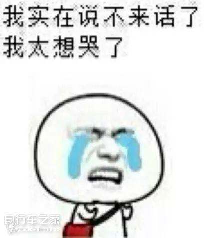 大神，2019山地车技术发展朝哪走？