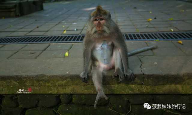 巴厘岛海滩打卡,玩转巴厘岛海边小时光