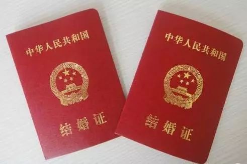 何必“双十一”后剁手！金普新区0元生活指南新鲜出炉，必须人手一份！