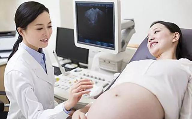 何必“双十一”后剁手！金普新区0元生活指南新鲜出炉，必须人手一份！