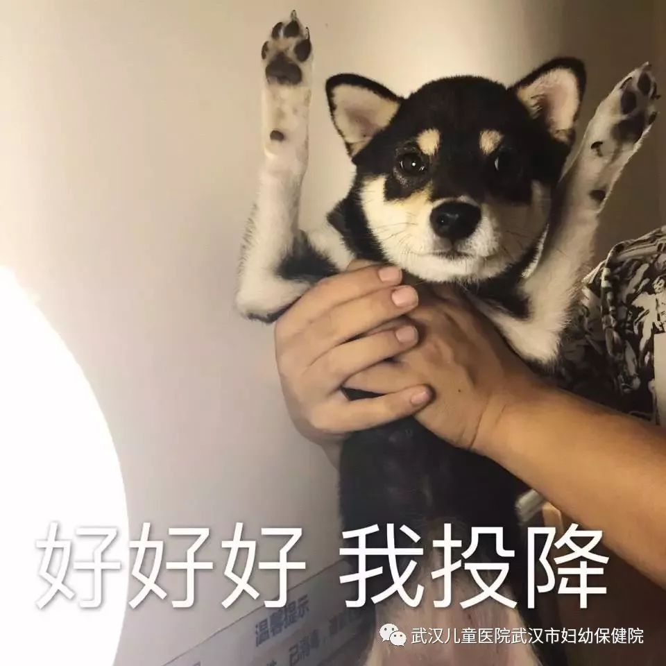 多吃热干面生儿子，每天喝醋得闺女？这些“秘方”靠谱吗？