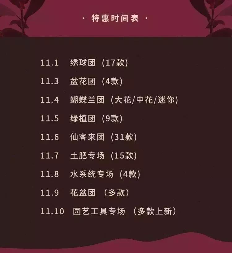 双11的第六天：给大家安利这款冬日绝不可错过的兔耳朵花