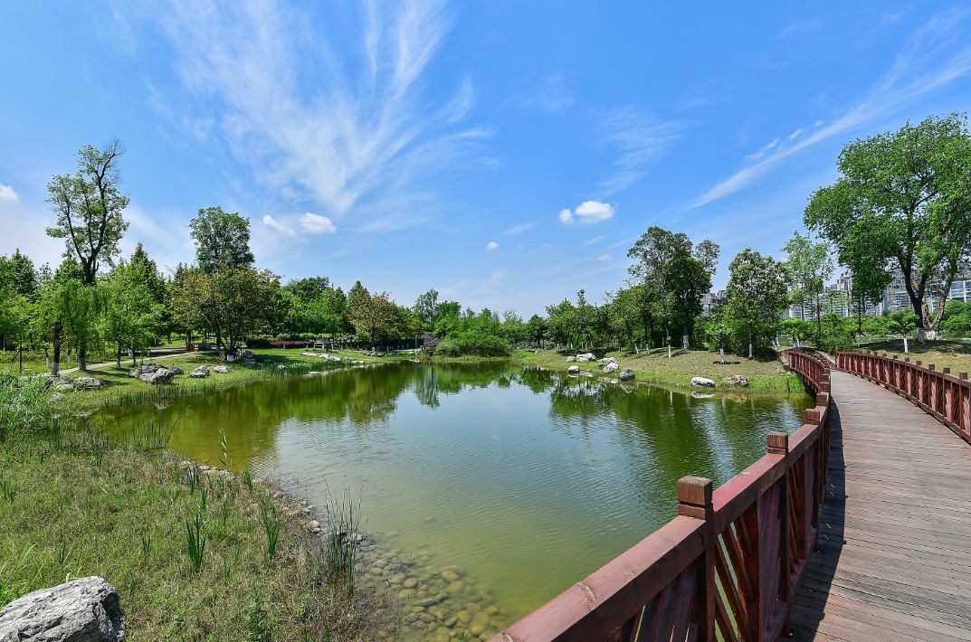 打卡美景成都,成都高新高端打卡地