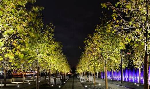 打卡美景成都,成都高新高端打卡地