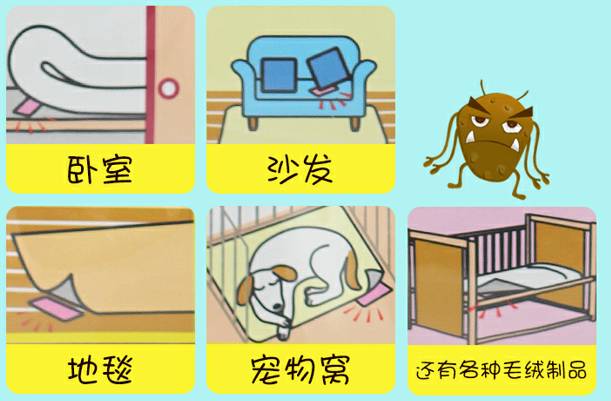 螨虫走开！中疾控检测100%有效，家有小宝、消除过敏源必备